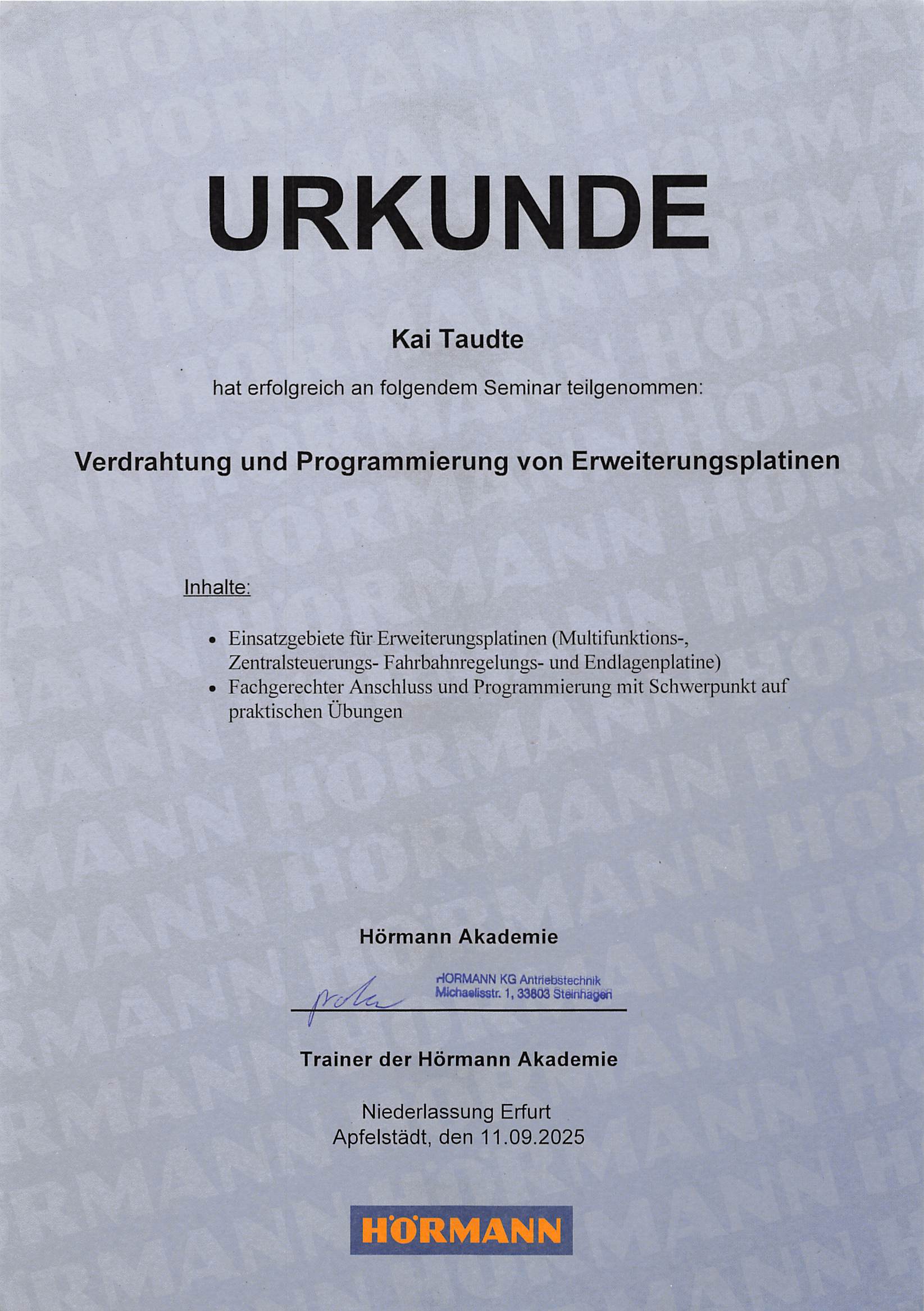 VPE KT 2025